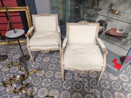 Paire de fauteuils patiné 